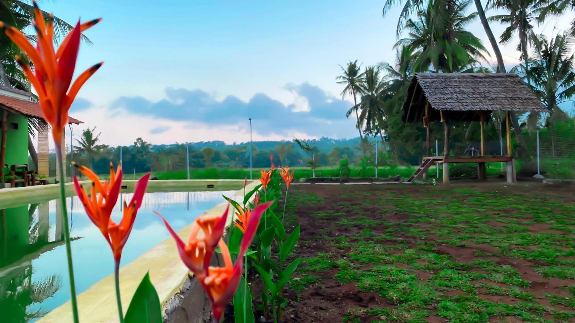 Wooden Kemiren Homestay Banyuwangi 바뉴왕기 외부 사진