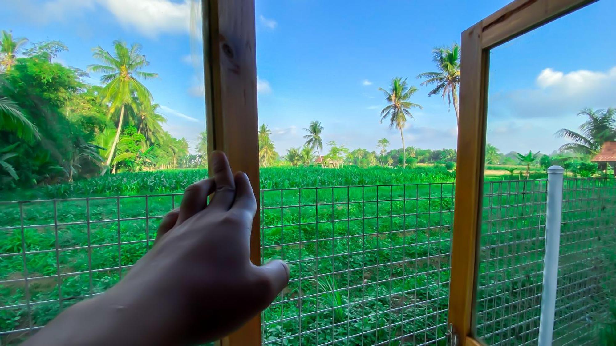 Wooden Kemiren Homestay Banyuwangi 바뉴왕기 외부 사진